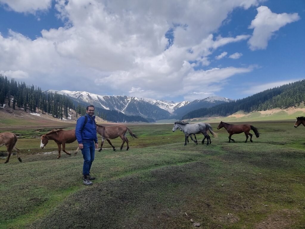 A man in a blue jacket stands in the expansive green pastures of Bangus Valley, surrounded by roaming horses with snow-capped mountains in the background.