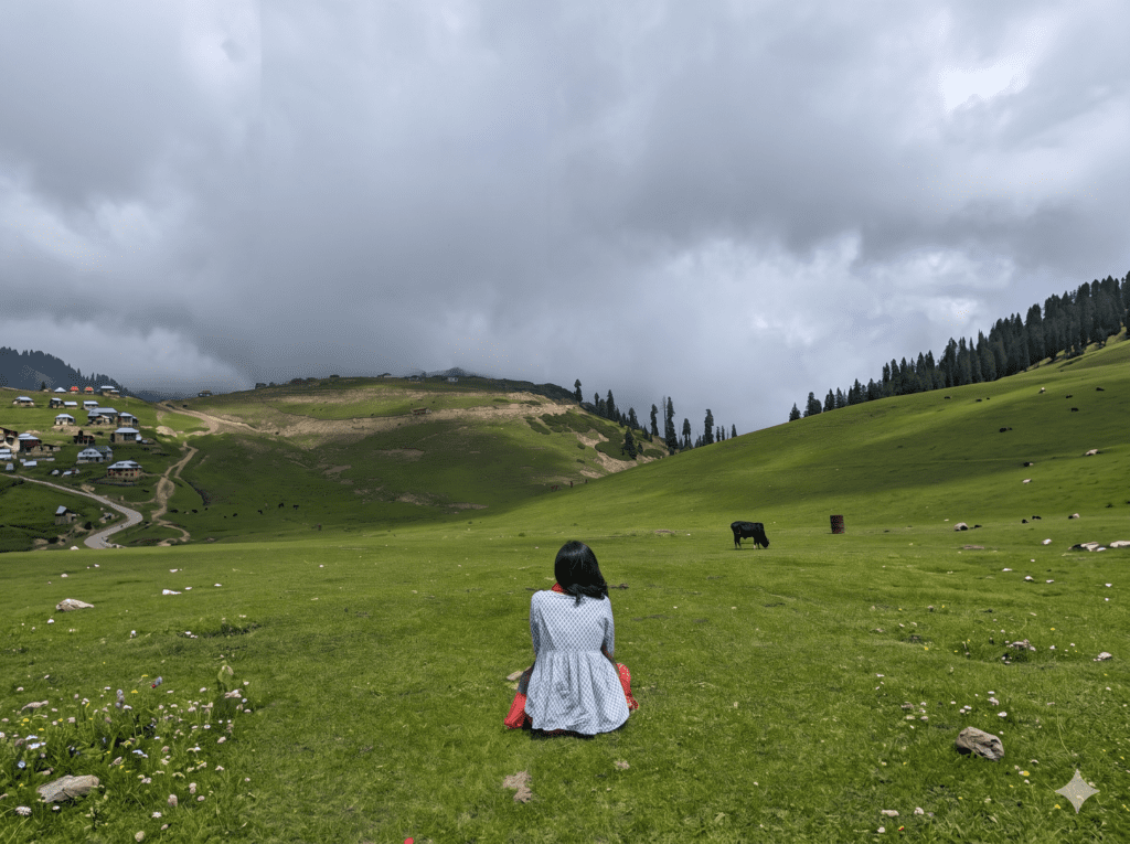 A person sitting on a green grassy hill, facing away toward a wide mountain meadow with grazing livestock and a cloudy sky.