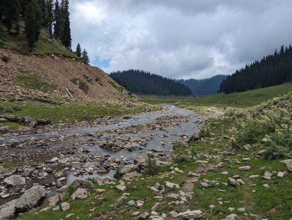 A shallow, rocky river winding through a green valley with a steep, rocky slope on one side and a pine forest in the distance under overcast clouds.