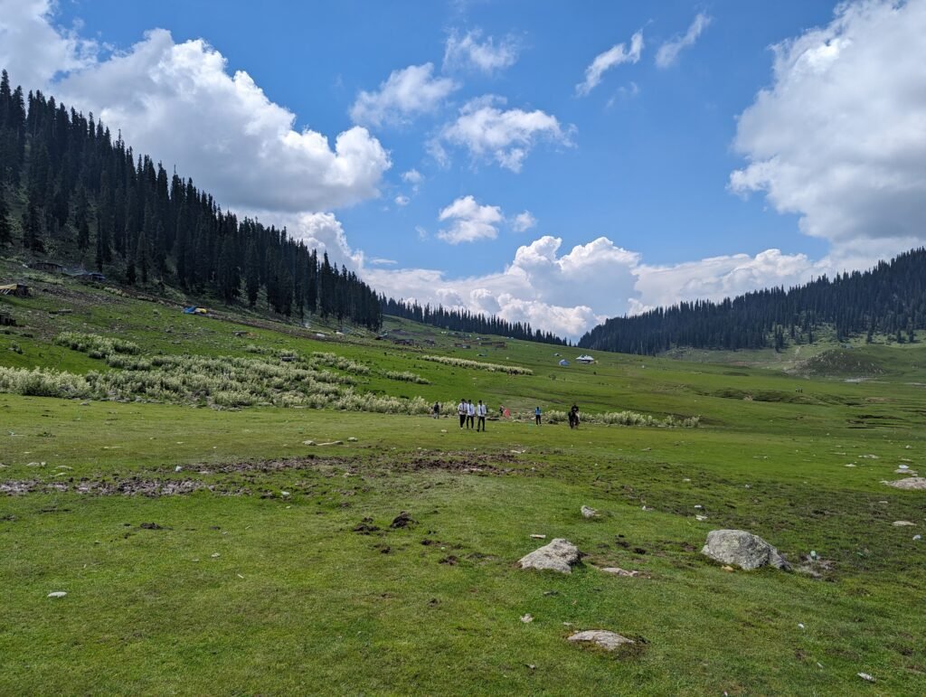A panoramic view of an expansive green mountain meadow with a few scattered people, bordered by deep pine forests under a vibrant blue sky with large white clouds.