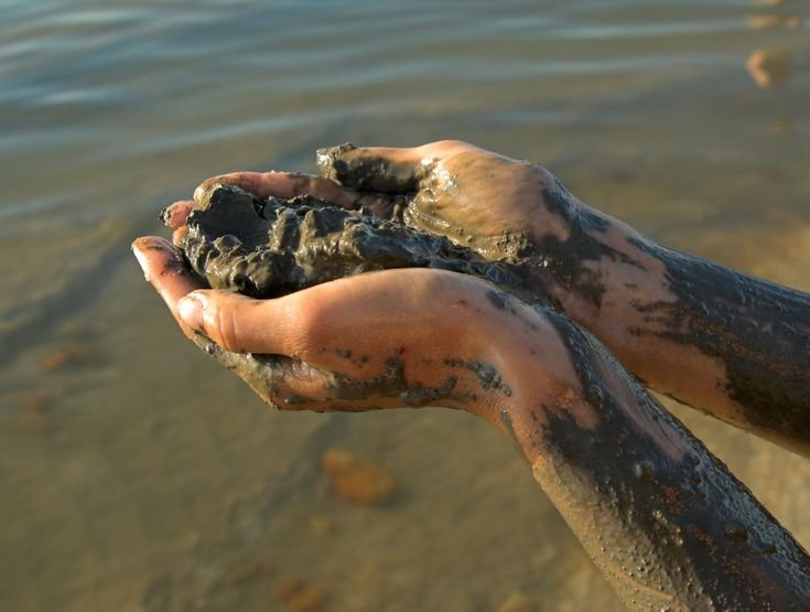 Cupped hands covered in dark mineral mud held over shallow Dead Sea water.