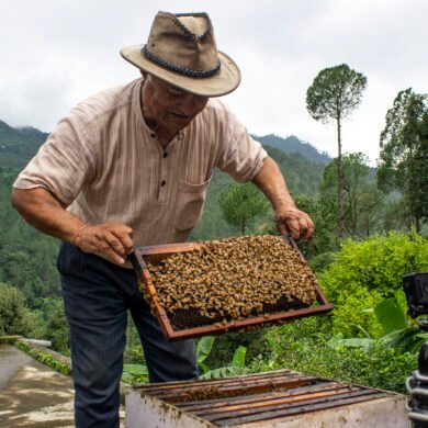 Bee-keeping