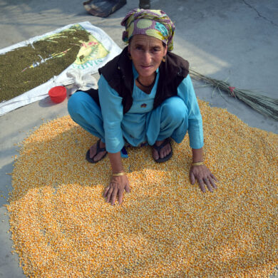 Corn Village daily chores