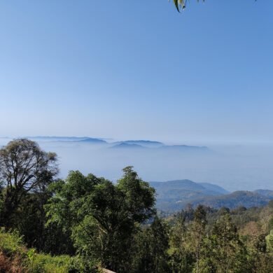 Guntur Estate View