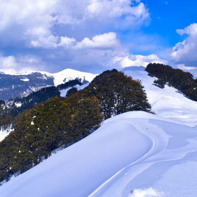 Jalori Snow