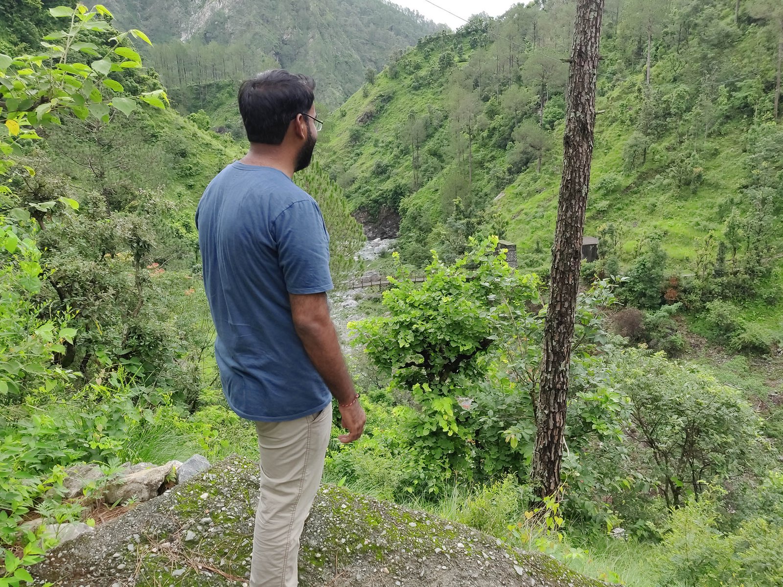 Nature Walk Alchauna