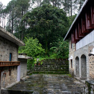 Silent Valley Alchauna