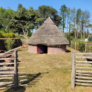 Silk World_Hut