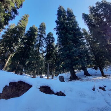 Tirthan Valley Winter Special