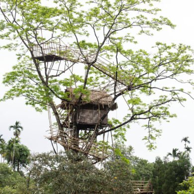 Tree House Mawlynnong