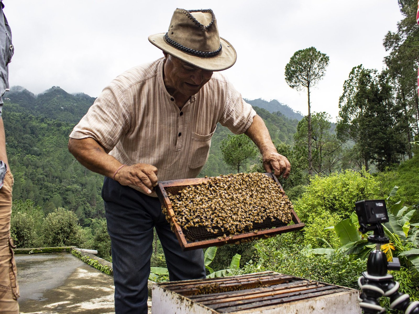 Bee-Keeping