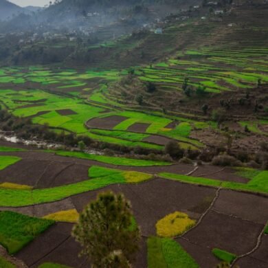 Kausani