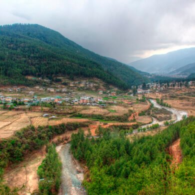Bhutan View