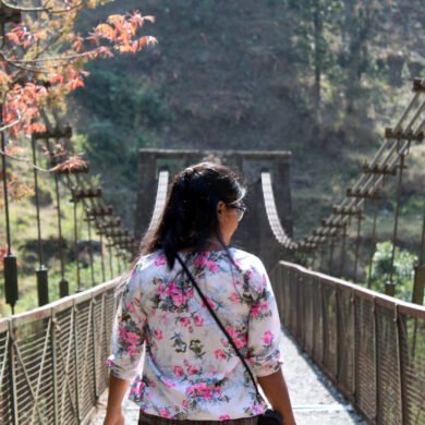 Bridge in Alchauna