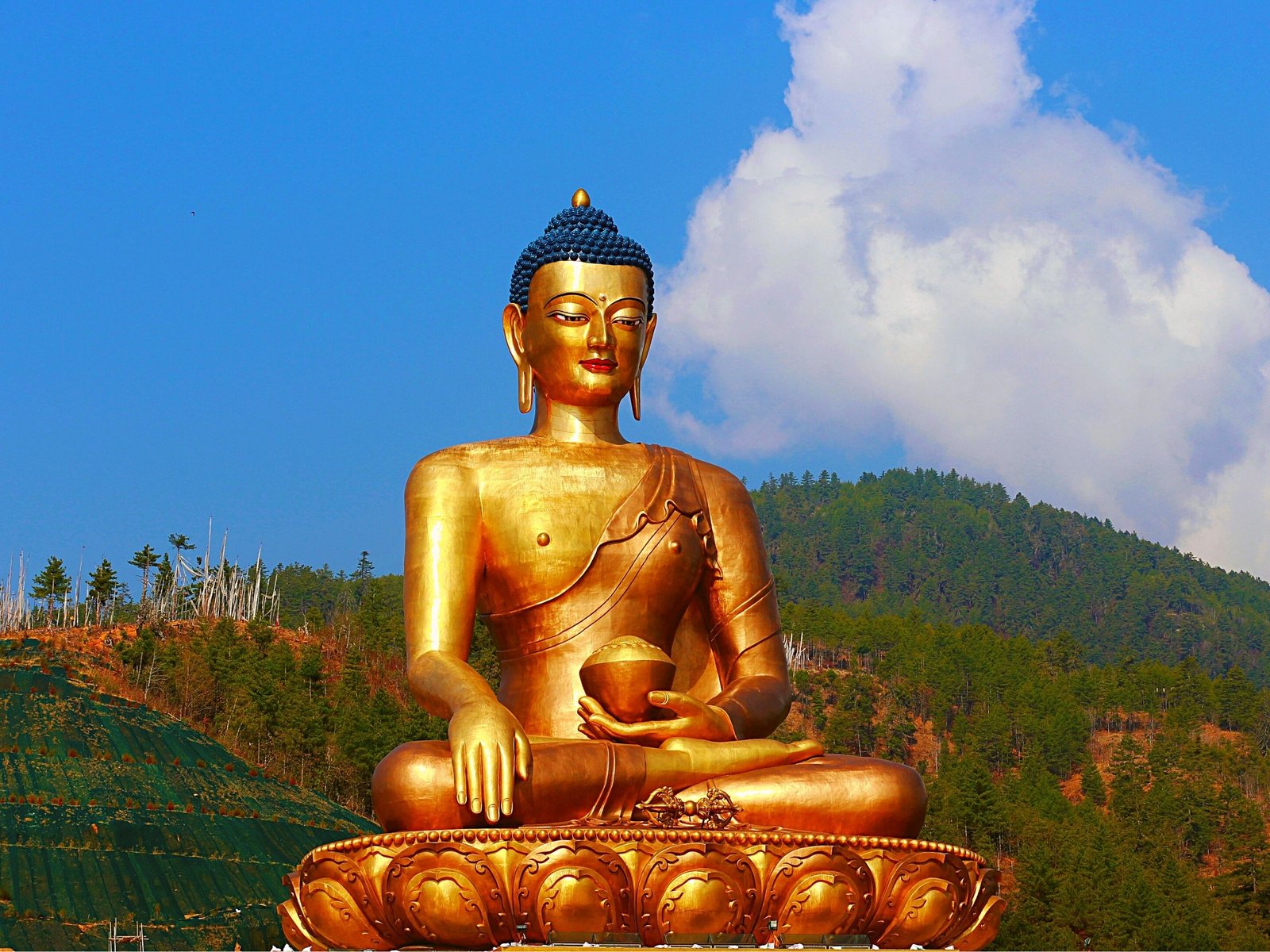 Buddha Point Thimpu