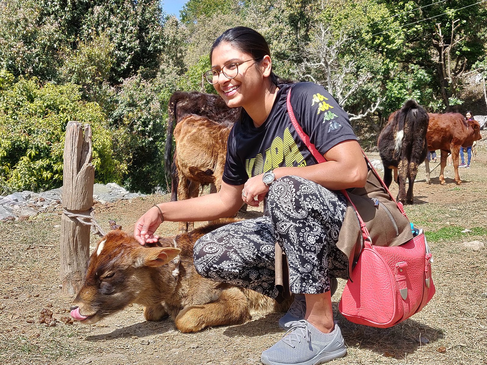 Dairy Farming