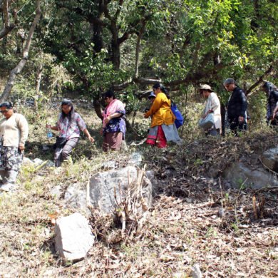 Nature Walk Uttarakhand