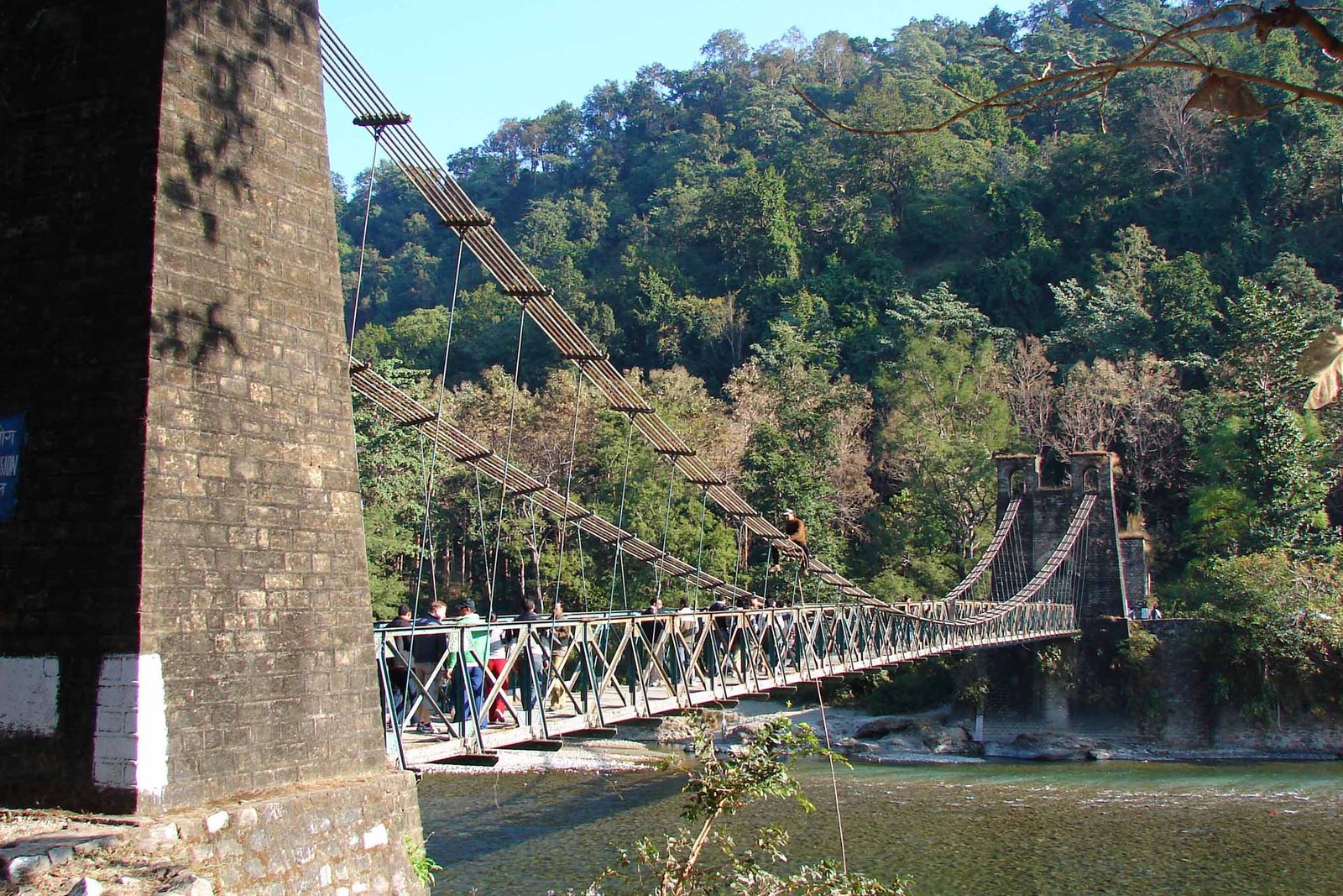 Suspension Bridge