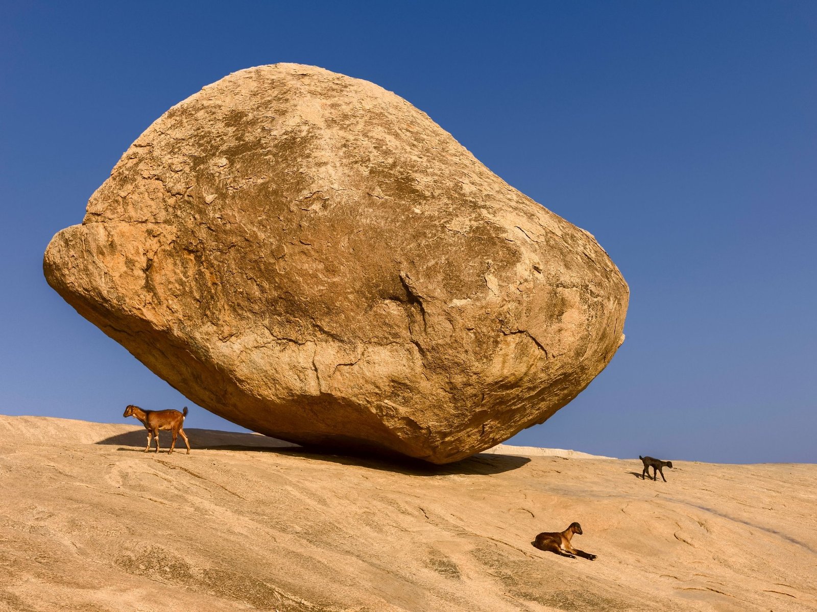 Krishna's Butter Ball