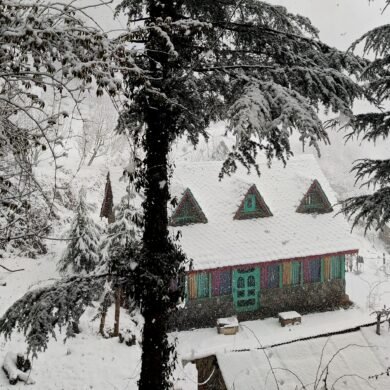 Jibhi Snowfall