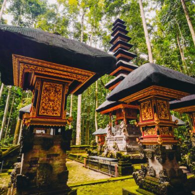 Sacred Monkey Forest Bali