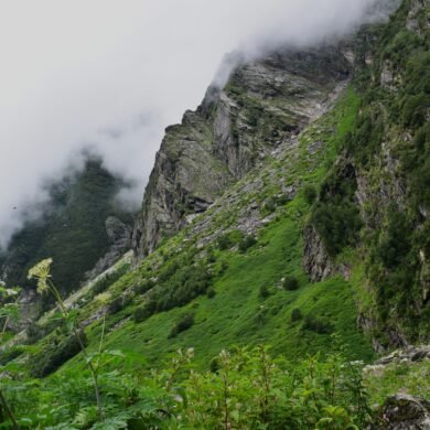 Valley of Flowers