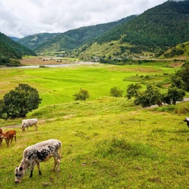 Sangti Valley