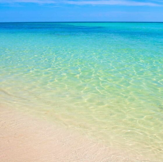 Serene water of Andaman