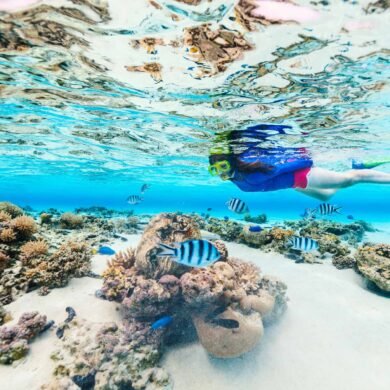 Snorkelling
