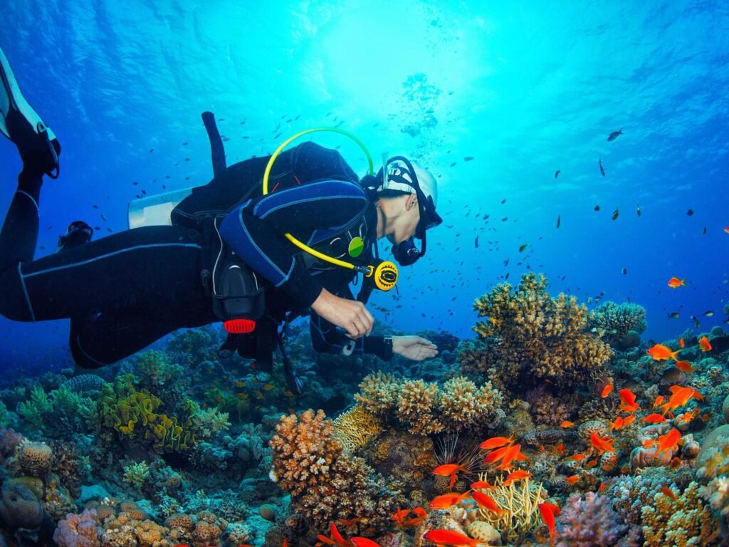 Scuba diving when travel to Andaman and Nicobar Islands