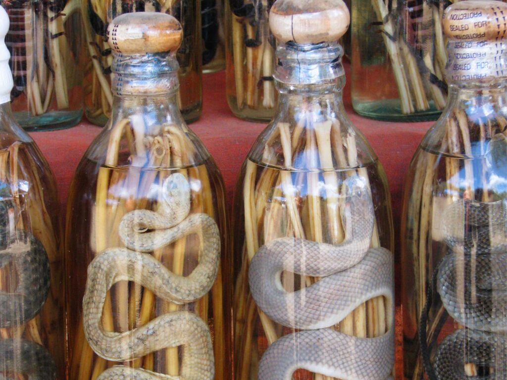 Snake Wine - Culinary significant things to do in vietnam