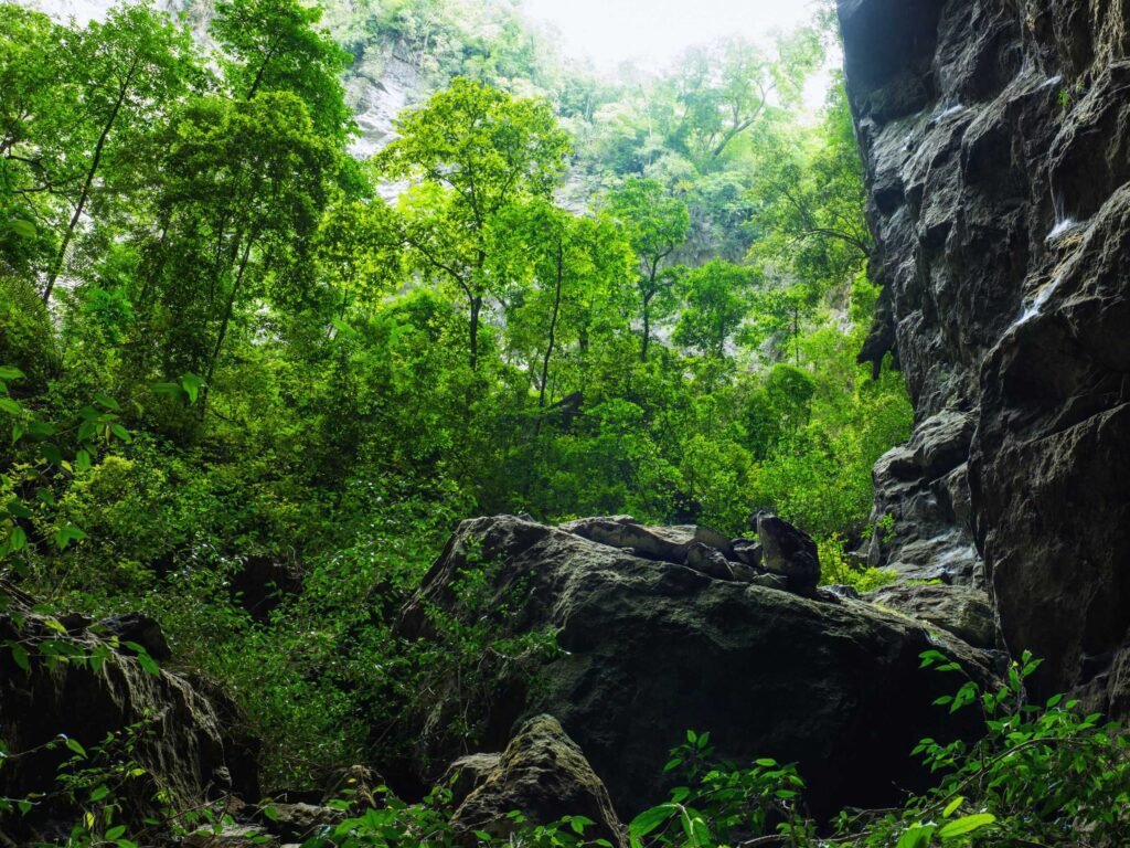 Son Doong Cave