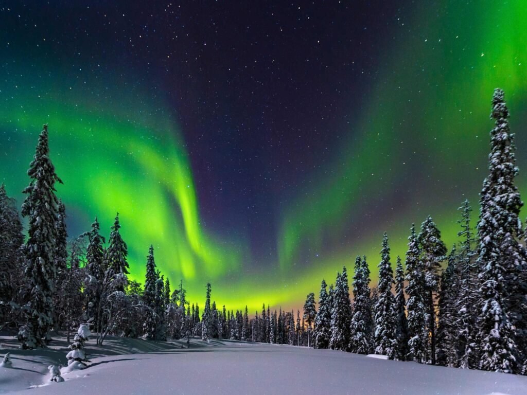 Vivid green northern lights glowing across a starry dark sky framed by snow-covered trees during peak viewing hours.